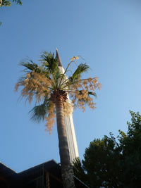 FOTOGRAFII TURGUTREIS BODRUM, TURCIA